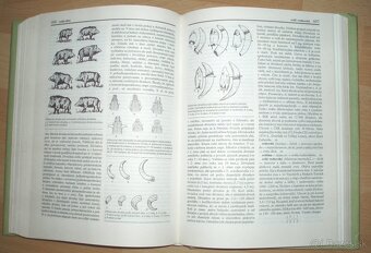 Poľovnícky náučný slovník - 14