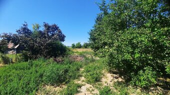 3 izbovy domcek na predaj okres michalovce 7km od mesta - 14
