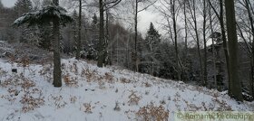 Horská chata na samote v katastri obce Pravenec na predaj - 14