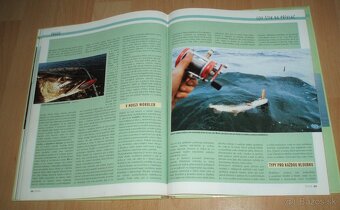 Štika – Kniha časopisu Blinker - 14