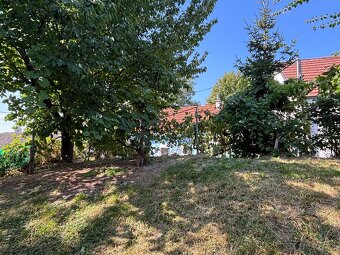 2 vínne pivničky s čarom vidieka na predaj - 14