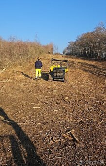 Čistenie pozemkov od naletovych drevín lesná fréza - 14