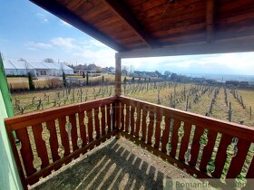 Poschodová chatka s vínnou pivnicou na vinohrade v obci G - 14