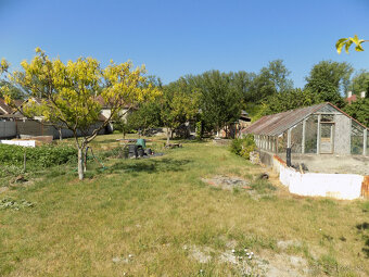 Na predaj dom s ovocným sadom 4401m2 -Veľké Kosihy. - 14