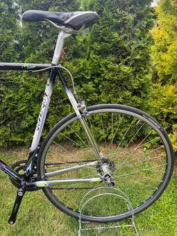Colnago Tecnos Art Decor - 14