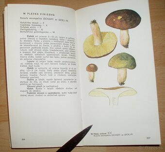 Naše huby - 14
