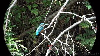 Hikmicro Habrok 4K HE25LN - 14