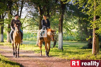 PONUKA LUXUSNÝCH NEHNUTEĽNOSTÍ NA LODENICI PIEŠŤANY 102025 - 14