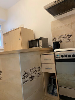 1 izbový zariadený byt v Starom meste - 14