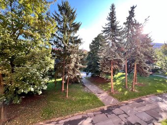 1.5-room apartment after complete renovation – Jesenná St. - 14