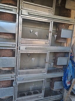 Voliéry..Klietky.Zajačník - 14