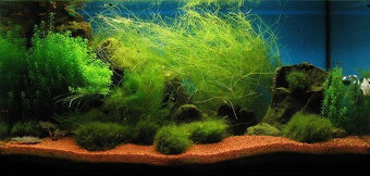 Substrát do akvária pórovitý 20 litrové balenie Terramol - 14
