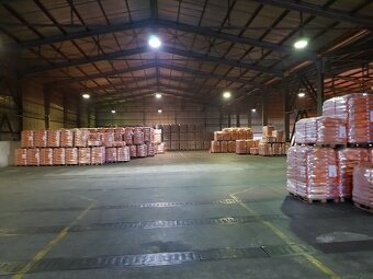 Skladová hala 1300 m2, Trnava, výhodný prenájom - 14