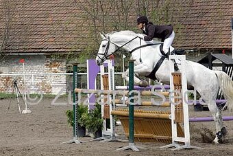 Ustajnenie koní – Jazdecký klub ALEXANDRIA, Hviezdoslavov - 14