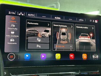 Cupra Formentor 2.0 TSI VZ 2021 - 14