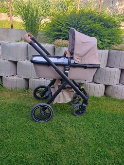 Kočík neonato puro - 14