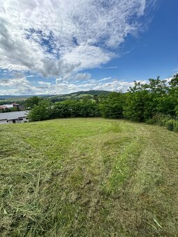 KOSENIE – MULČOVANIE – ČISTENIE POZEMKOV - 14