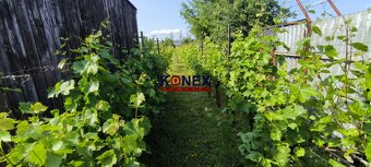 Rodinný dom v obci BORŠA – NA PREDAJ - 14
