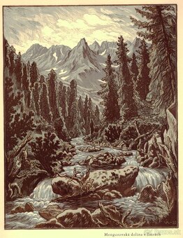 Karel Vik, drevoryty 5 - 14