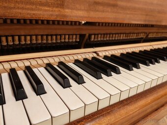 Nepremeškajte Najmenšie klavírne krídlo - 14