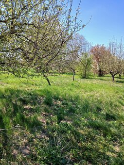 Pozemok Slepčany - 14