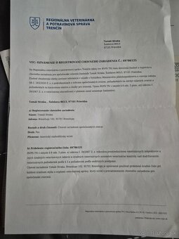 Americky Stafordsirsky Terier s PP - 14