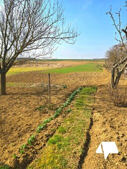 REZERVOVANÝ-  5-izbový rodinný dom Šurianky s veľkým pozemko - 14