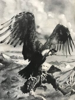 Pavol Dobšinský: Prostonárodné slovenské povesti, Kolíska - 14