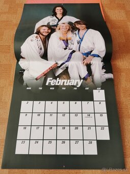 ABBA CALENDAR 2009 - 14