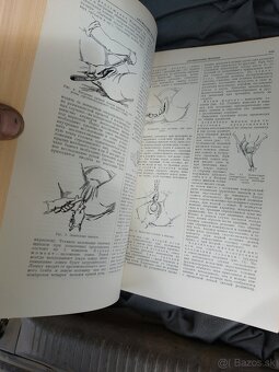 Knihy medicina lekarske.anatomia - 14