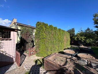 🌳 kosenie, orez / výrub stromov, ,odvoz 🌿 - 14