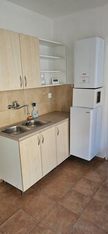 Prenájmem 1.izbový rodinný dom vo Viničnom... - 14