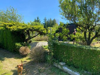 Záhrada s dreveným domčekom - 14