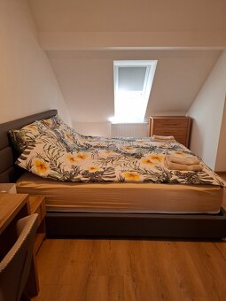 Prenájom 1-izbového bytu - 14