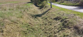 Kosenie záhrad a pozemkov, drvenie konárov - 14