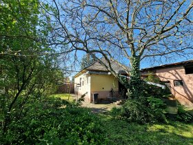 Pozemok o výmere 4543 m2 so starším RD na predaj - 14