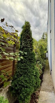 Predaj 4 izb. rodinný dom Mudroňova ulica Bratislava. - 14