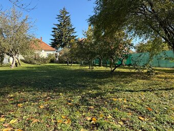 PREDAJ - RODINNÝ DOM - ZLATÉ MORAVCE - 14