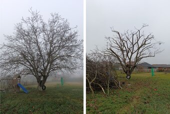 Záhradné práce - 14