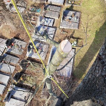 Rizikové rezanie stromov - 14