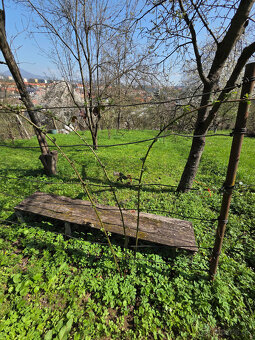 Záhradka Pod Kalváriou - 14