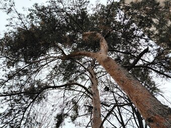 Slnečný, teplý 3 izb. s balkónom, A. Stodolu, Prievidza - 14