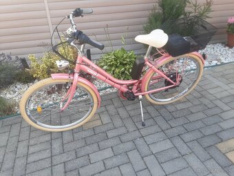 Elektrobicykel +prerobenie na elektro - 14