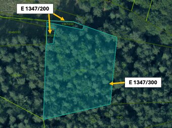 Omastiná – 9.909 m2 LESY a PASIENKY – PREDAJ - 14