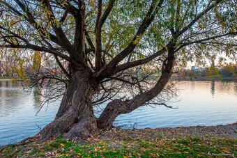 Reprezentatívne kancelárie s výhľadom na jazero, 245 m2 - 14
