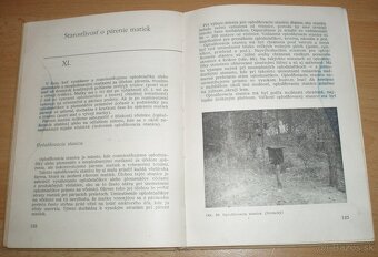 Chov včelích matiek - 14