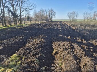 Gazdovský dom na 20á pozemku v Tekovských Lužanoch - 14