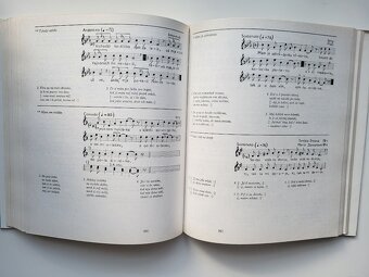 Ján Podolák - Vajnory (vlastivedná monografia) - 14