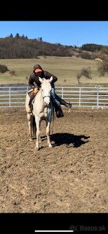 tréning koní - obsadanie - 14