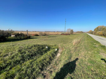 MH280- Na predaj krásna záhrada s chatkou v Komárne - 14